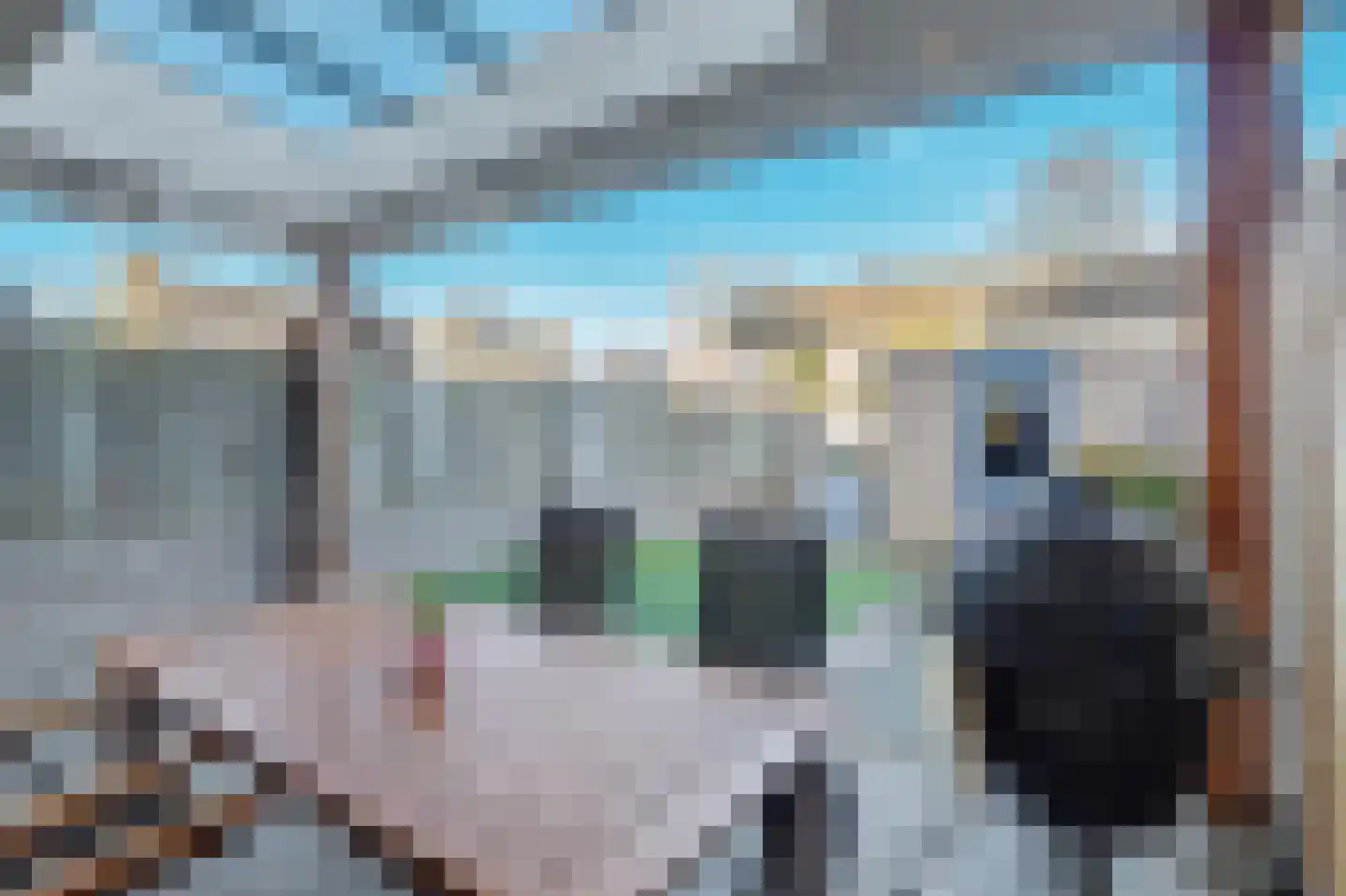 Dokter Barentsenstraat 13 Bergeijk thumbnail 44