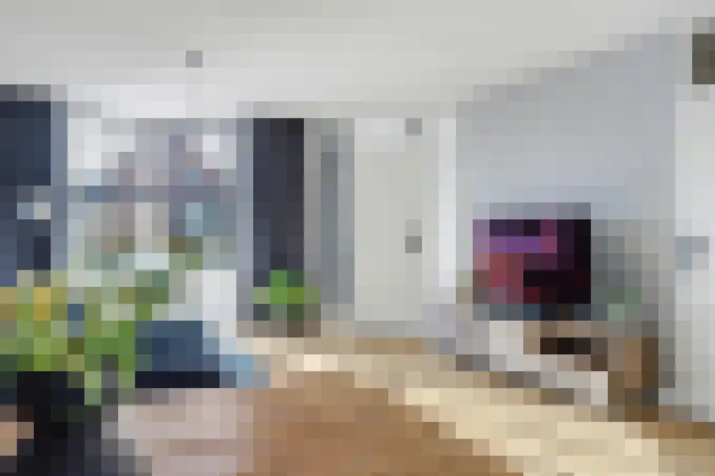 Dokter Barentsenstraat 13 Bergeijk thumbnail 9