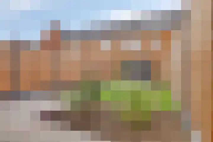 Dokter Barnhoornstraat 21 Blokker thumbnail 4