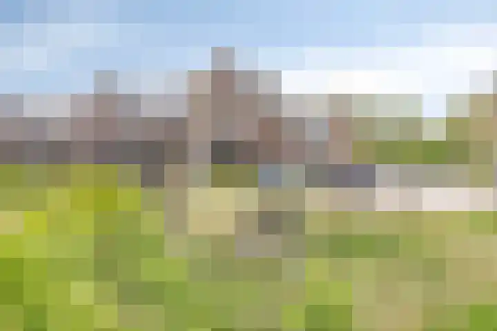 Dokter Barnhoornstraat 21 Blokker thumbnail 41