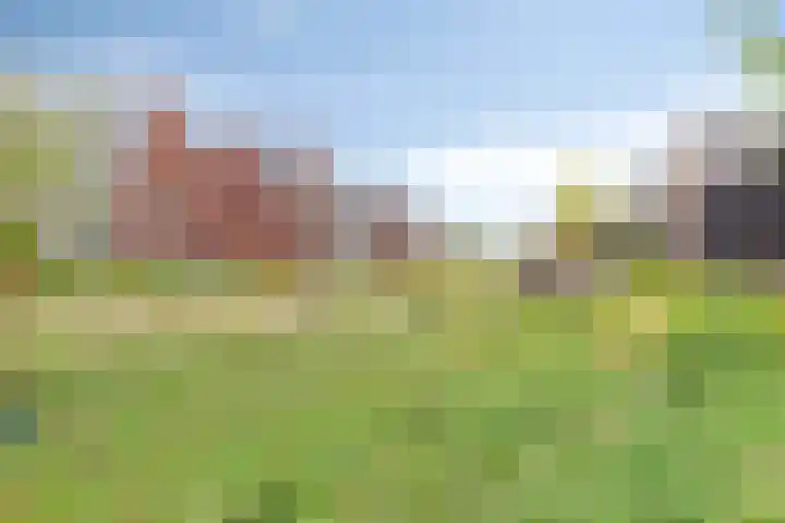 Dokter Barnhoornstraat 21 Blokker thumbnail 5