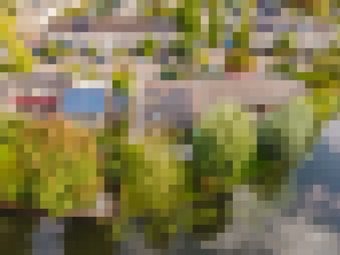 Dokter Bauerstraat 1 a Gorinchem thumbnail 33