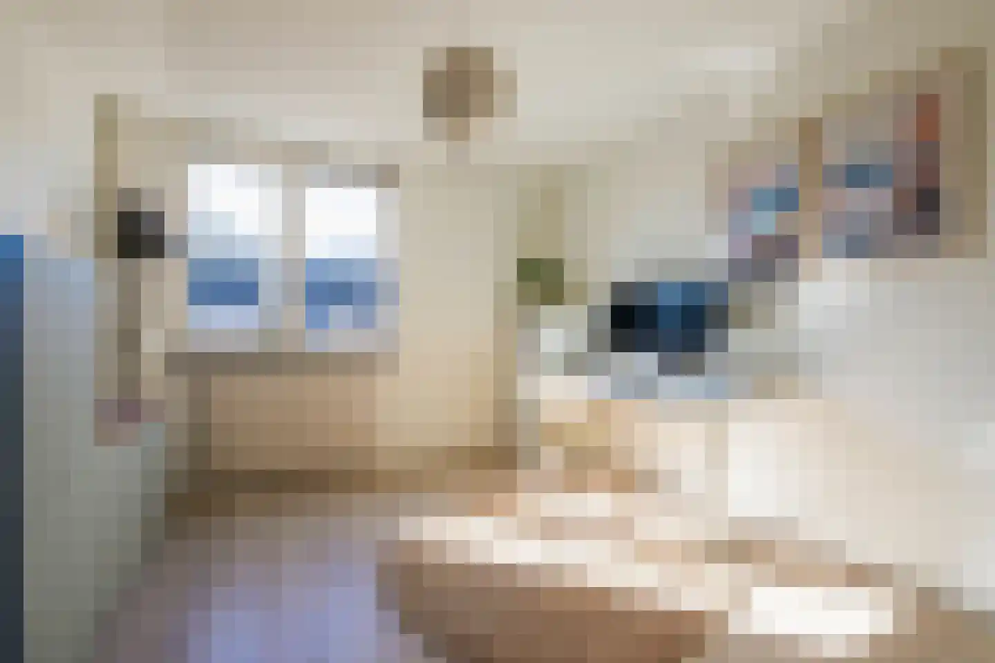 Dokter Bauerstraat 196 Gorinchem thumbnail 14