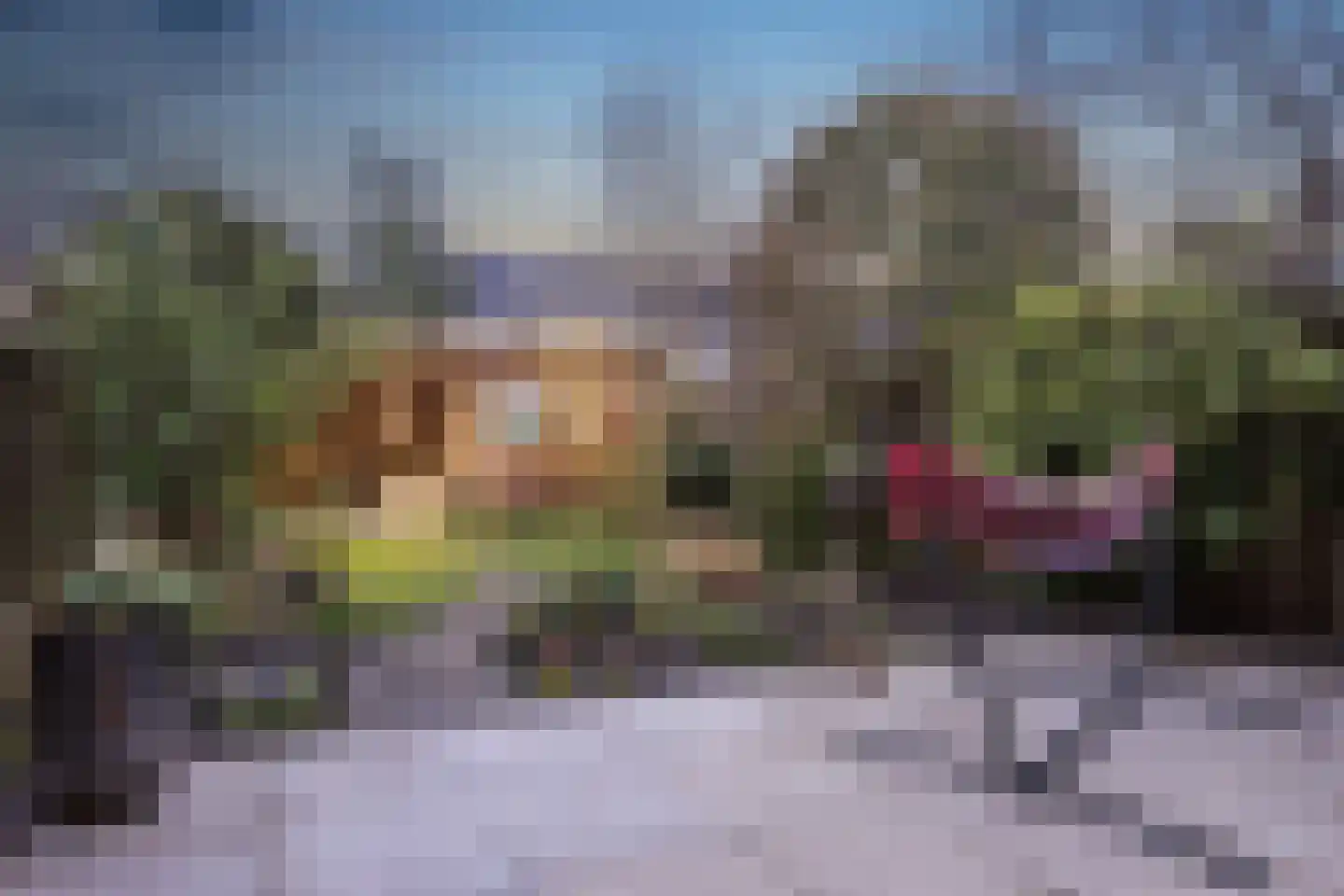 Dokter Bauerstraat 58 Gorinchem thumbnail 22