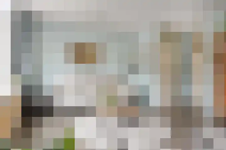 Dokter Bauerstraat 58 Gorinchem thumbnail 9