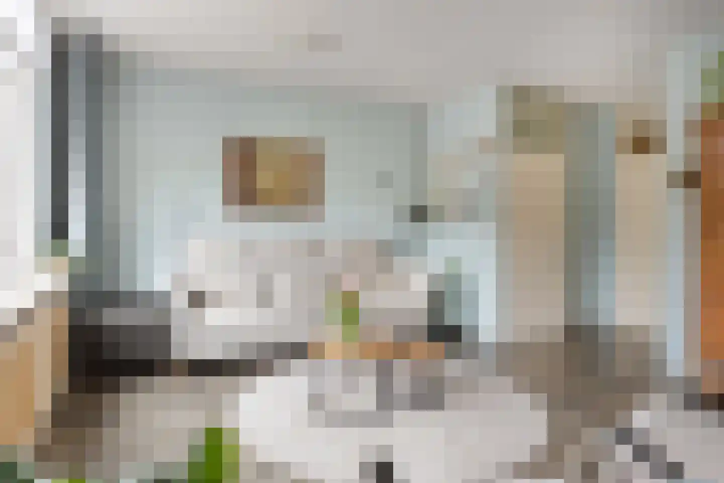 Dokter Bauerstraat 58 Gorinchem thumbnail 9