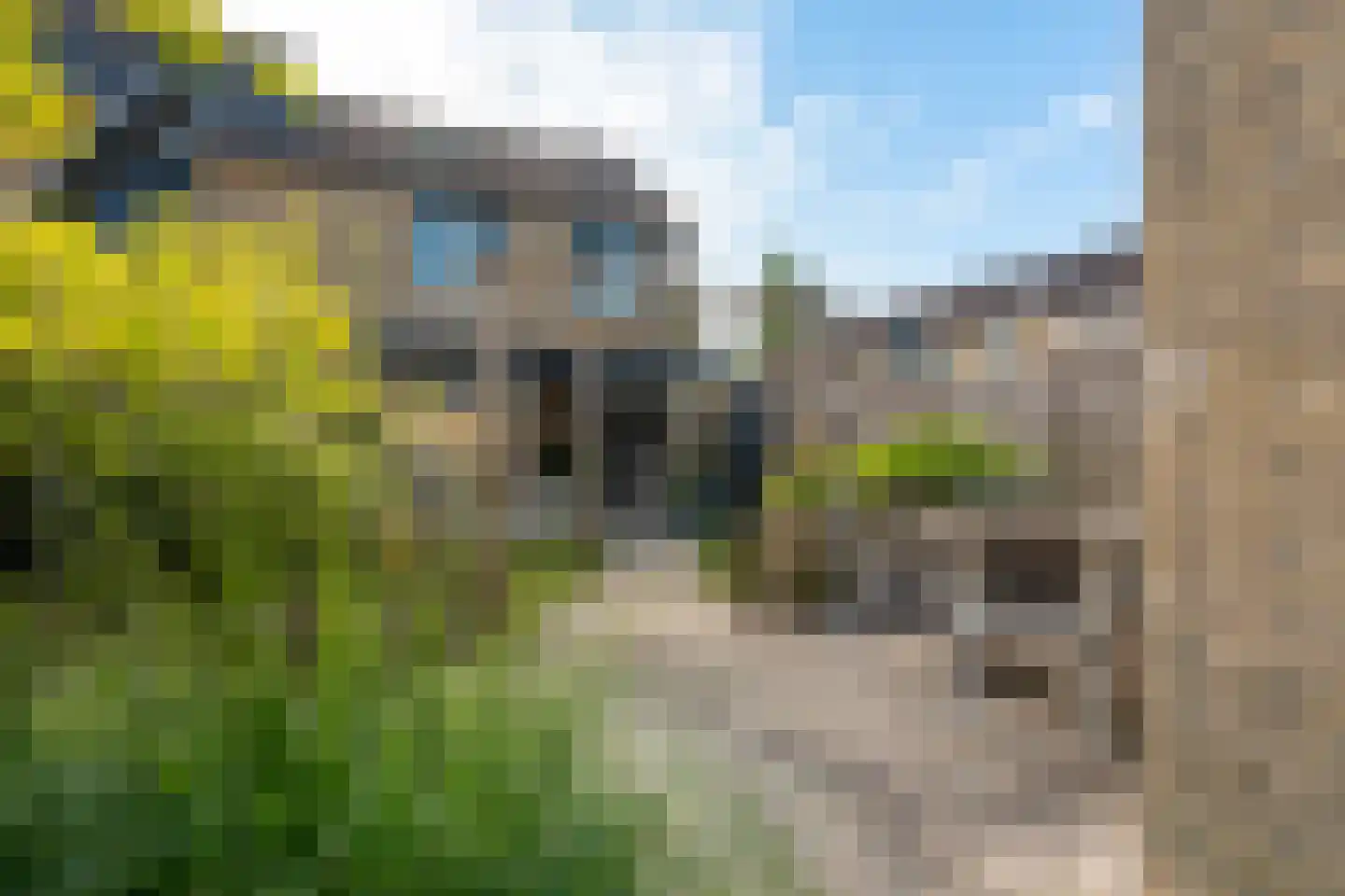 Dokter Bauerstraat 78 Gorinchem thumbnail 39