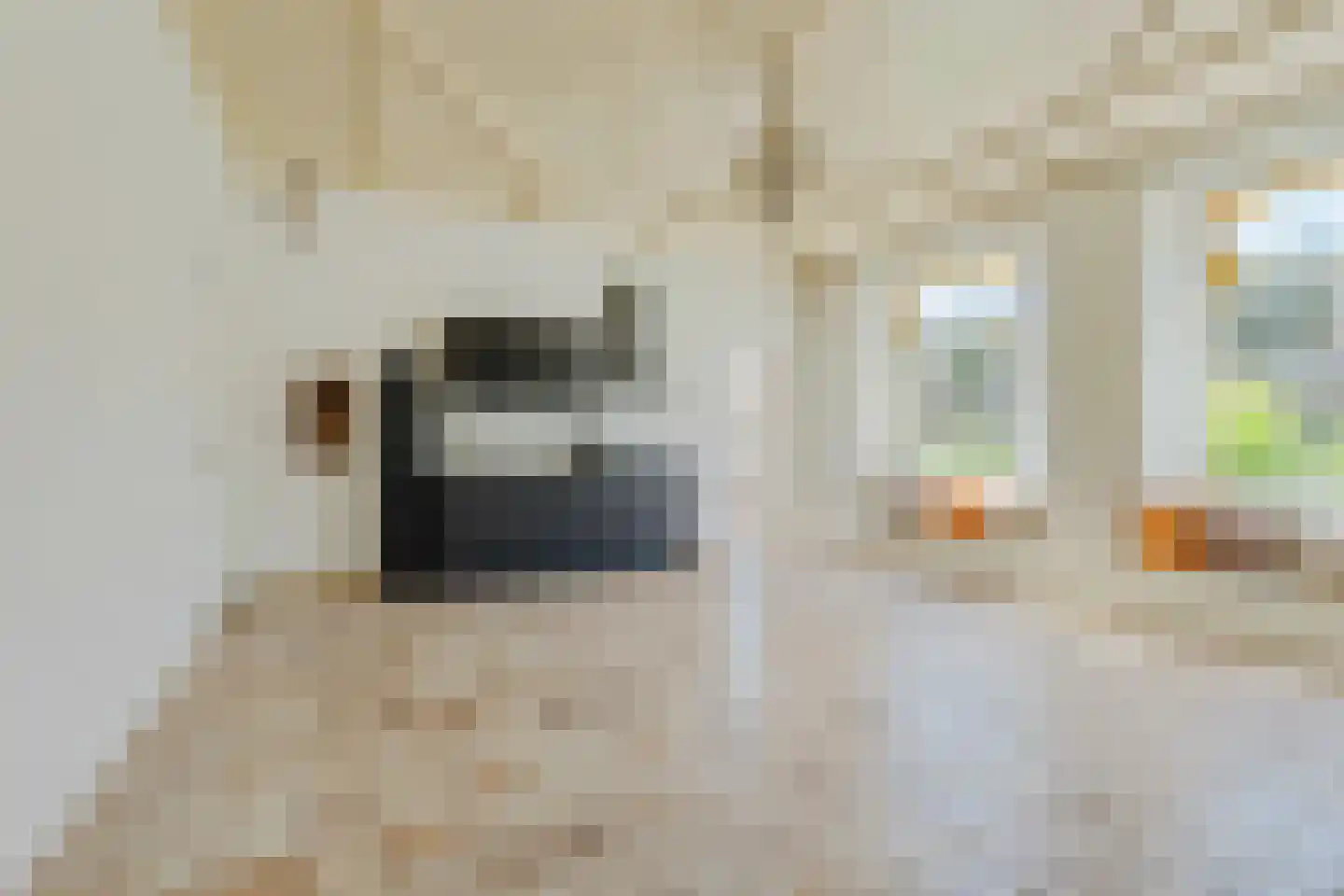 Dokter Baumannplein 1 Halfweg thumbnail 6