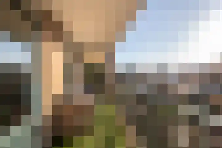 Dokter Baumannplein 24 Halfweg thumbnail 19