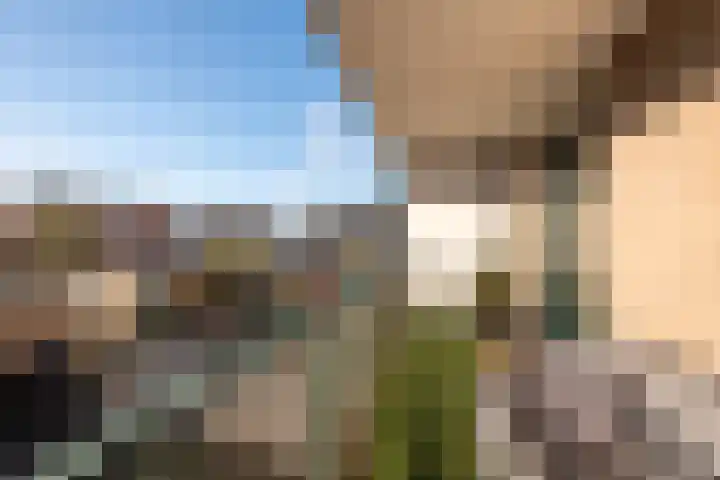 Dokter Baumannplein 24 Halfweg thumbnail 20