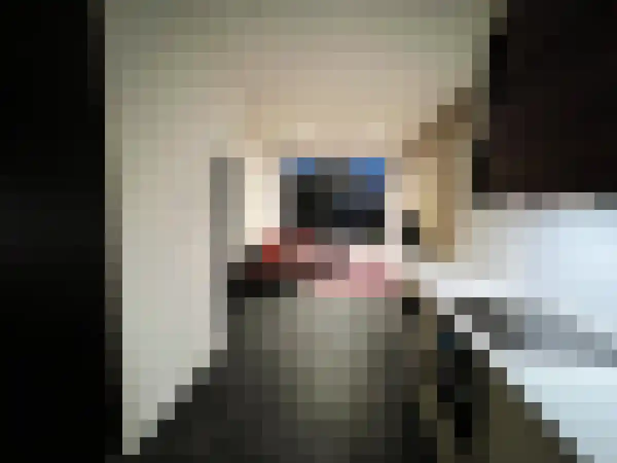 Dokter Baumannplein Halfweg thumbnail 4