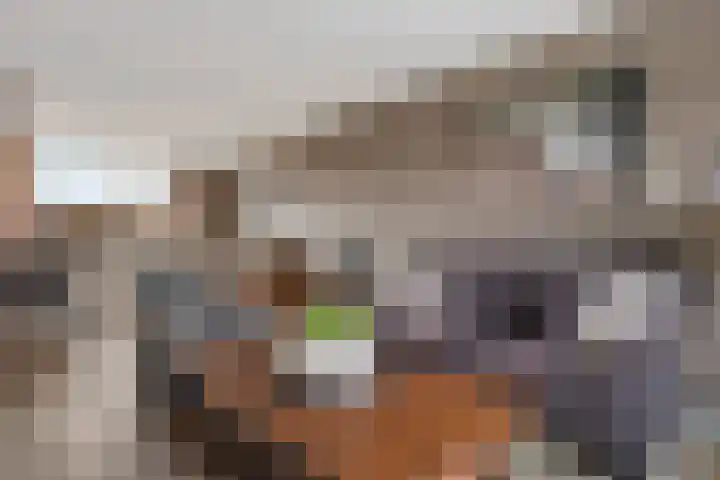 Dokter Baxstraat 15 Genemuiden thumbnail 11