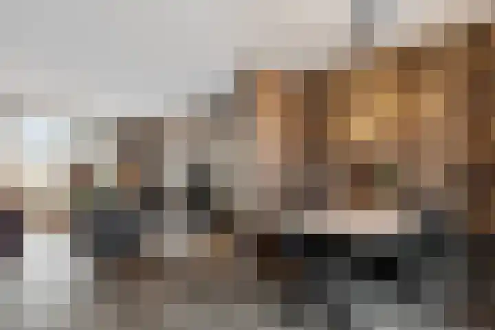 Dokter Baxstraat 15 Genemuiden thumbnail 14