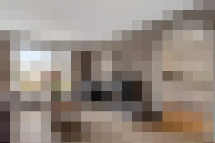 Dokter Baxstraat 15 Genemuiden thumbnail 15