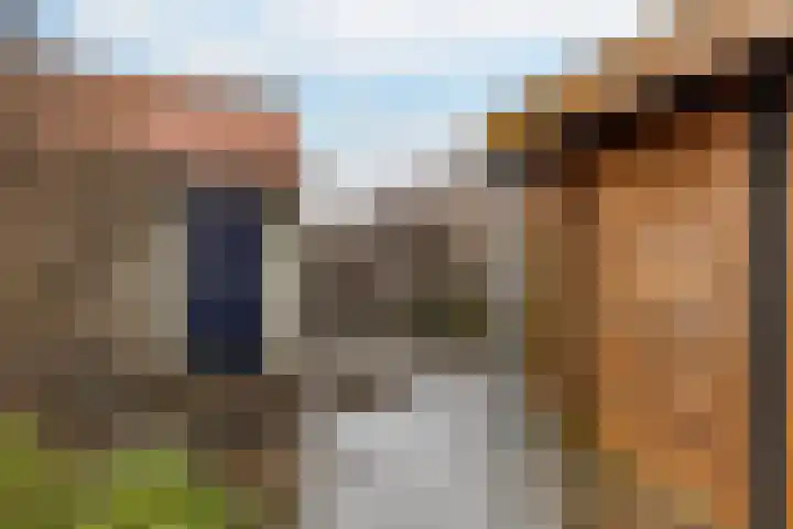 Dokter Baxstraat 15 Genemuiden thumbnail 18