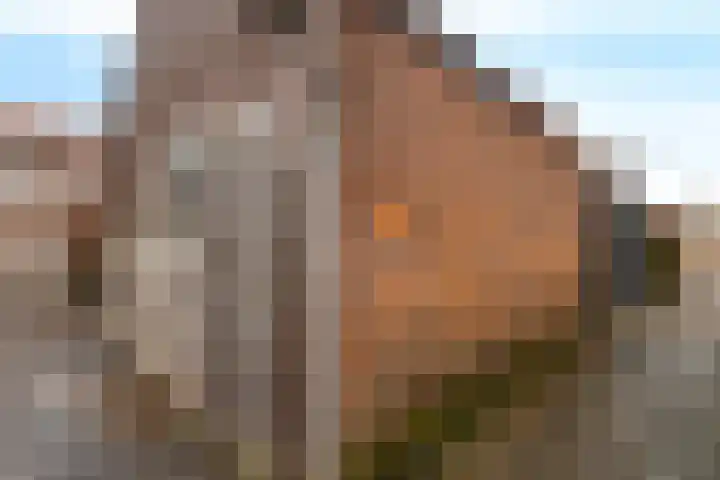 Dokter Baxstraat 15 Genemuiden thumbnail 19