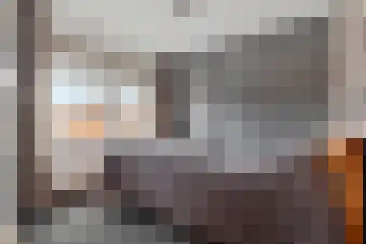 Dokter Baxstraat 15 Genemuiden thumbnail 22