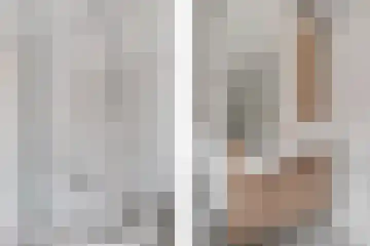 Dokter Baxstraat 15 Genemuiden thumbnail 24
