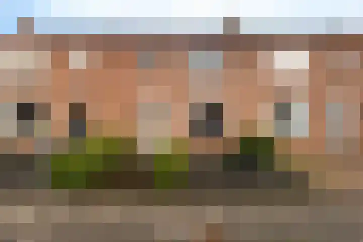 Dokter Baxstraat 15 Genemuiden thumbnail 5