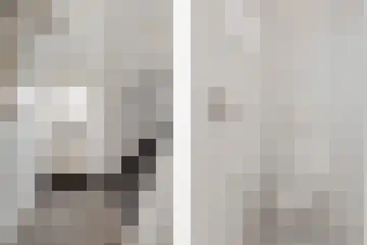 Dokter Baxstraat 15 Genemuiden thumbnail 8
