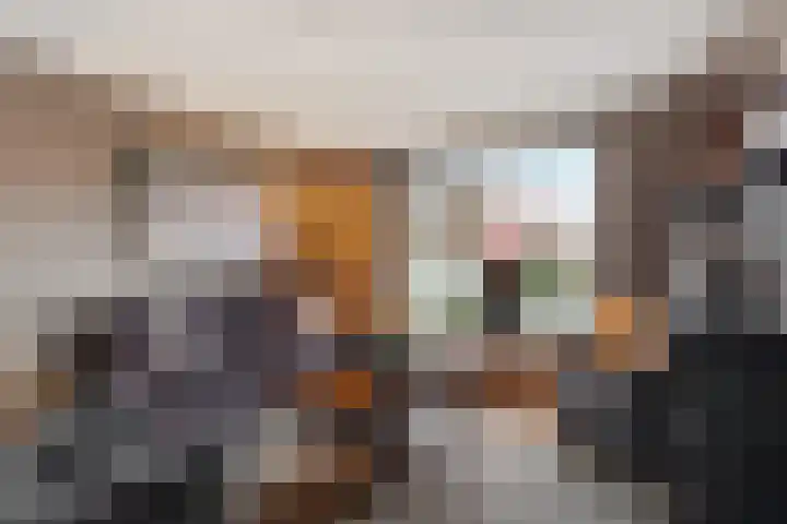 Dokter Baxstraat 15 Genemuiden thumbnail 9