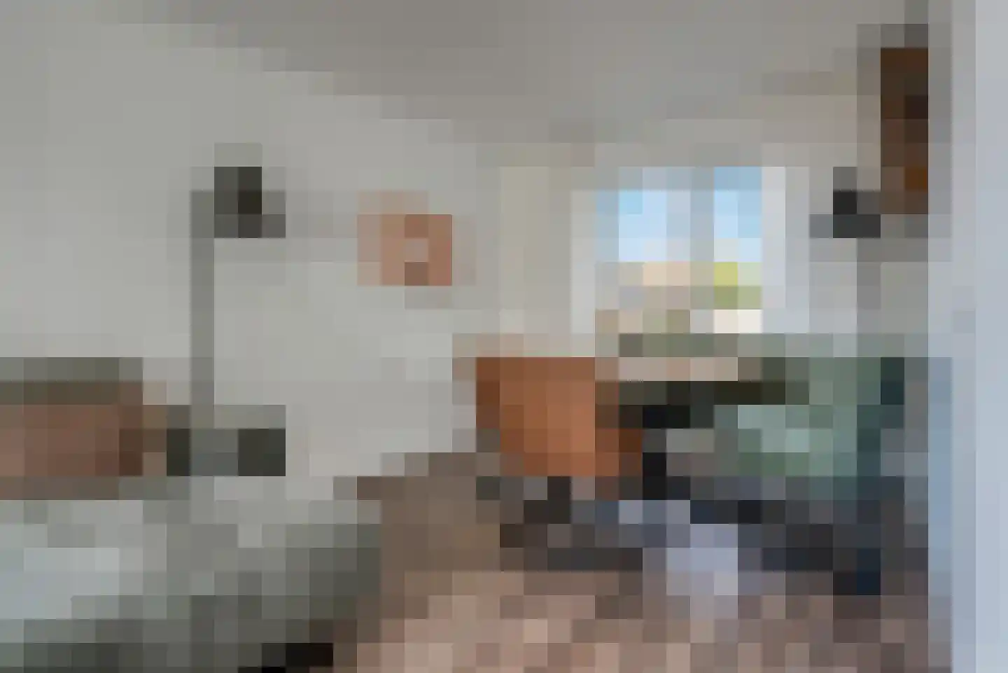 Dokter Baxstraat 47 Genemuiden thumbnail 10