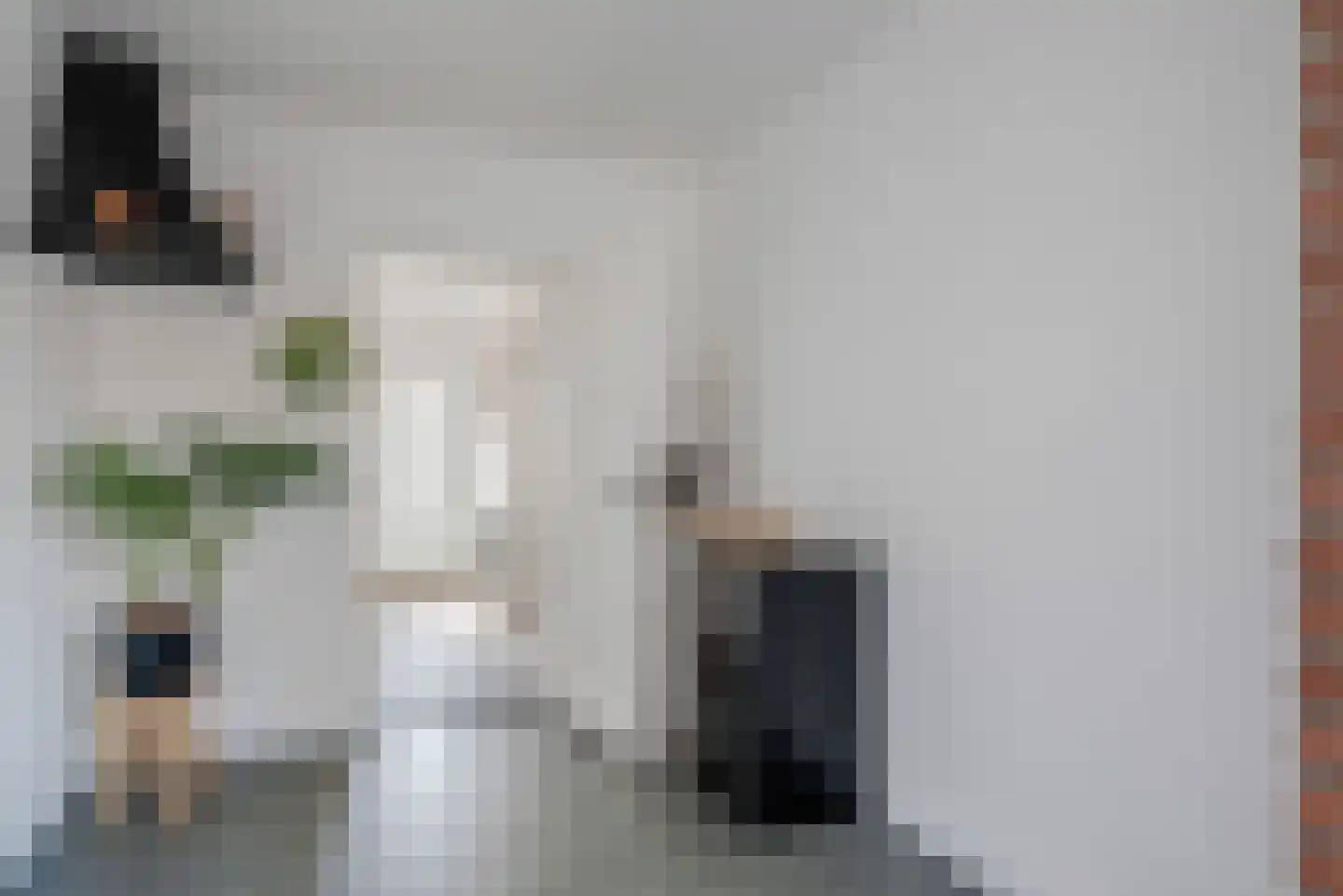 Dokter Baxstraat 47 Genemuiden thumbnail 12