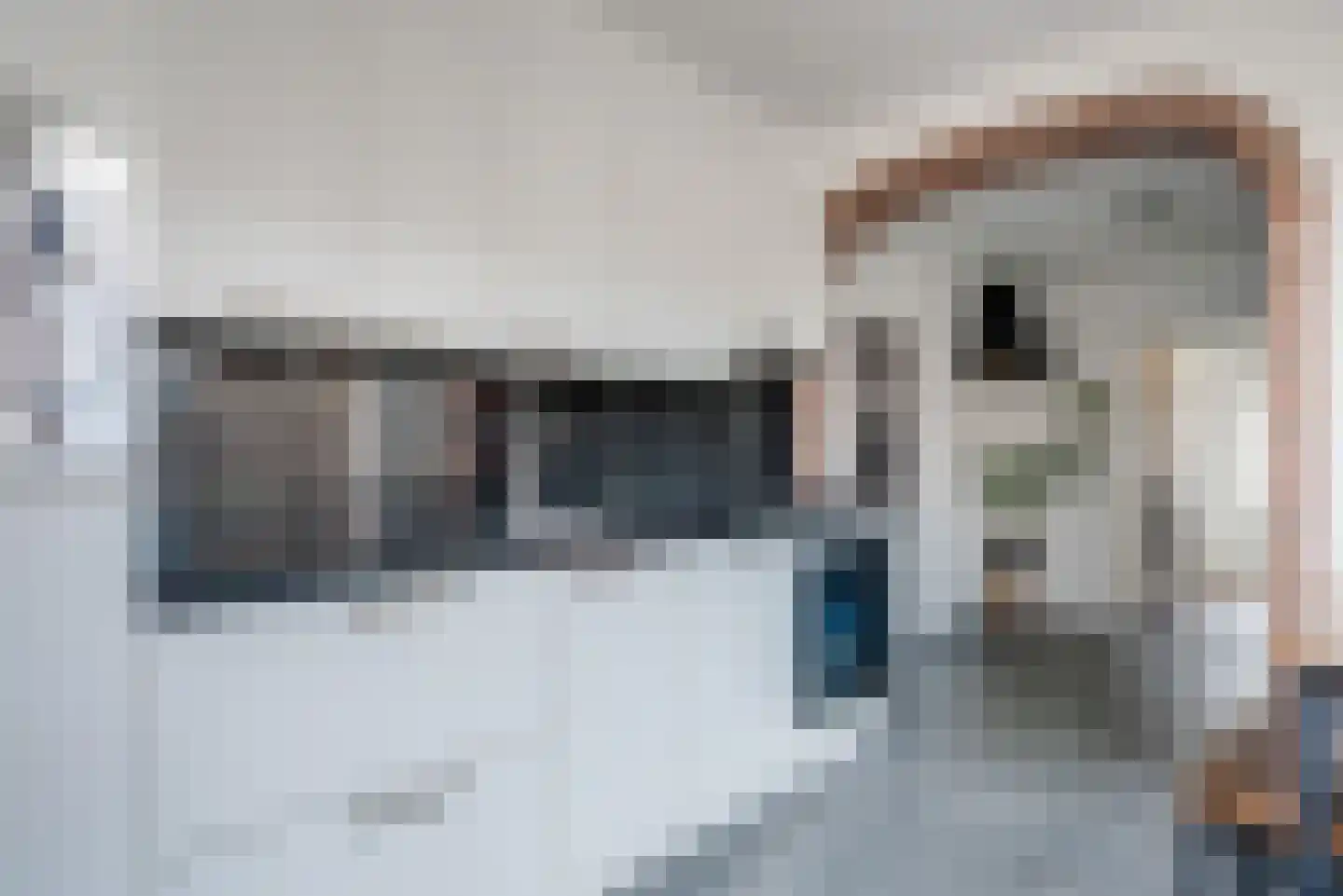 Dokter Baxstraat 47 Genemuiden thumbnail 16