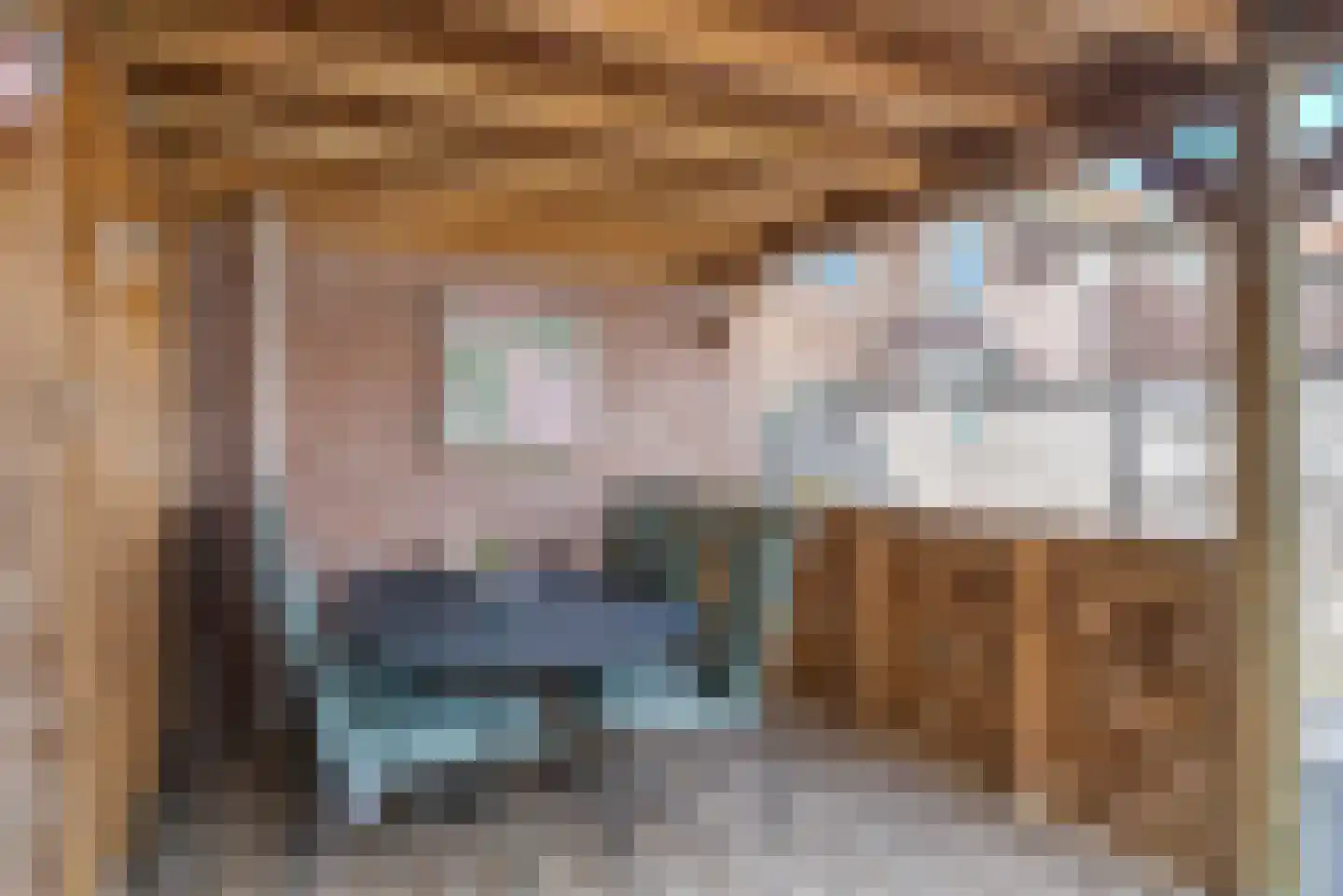 Dokter Baxstraat 47 Genemuiden thumbnail 23