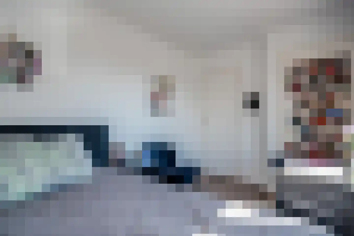 Dokter Baxstraat 47 Genemuiden thumbnail 27