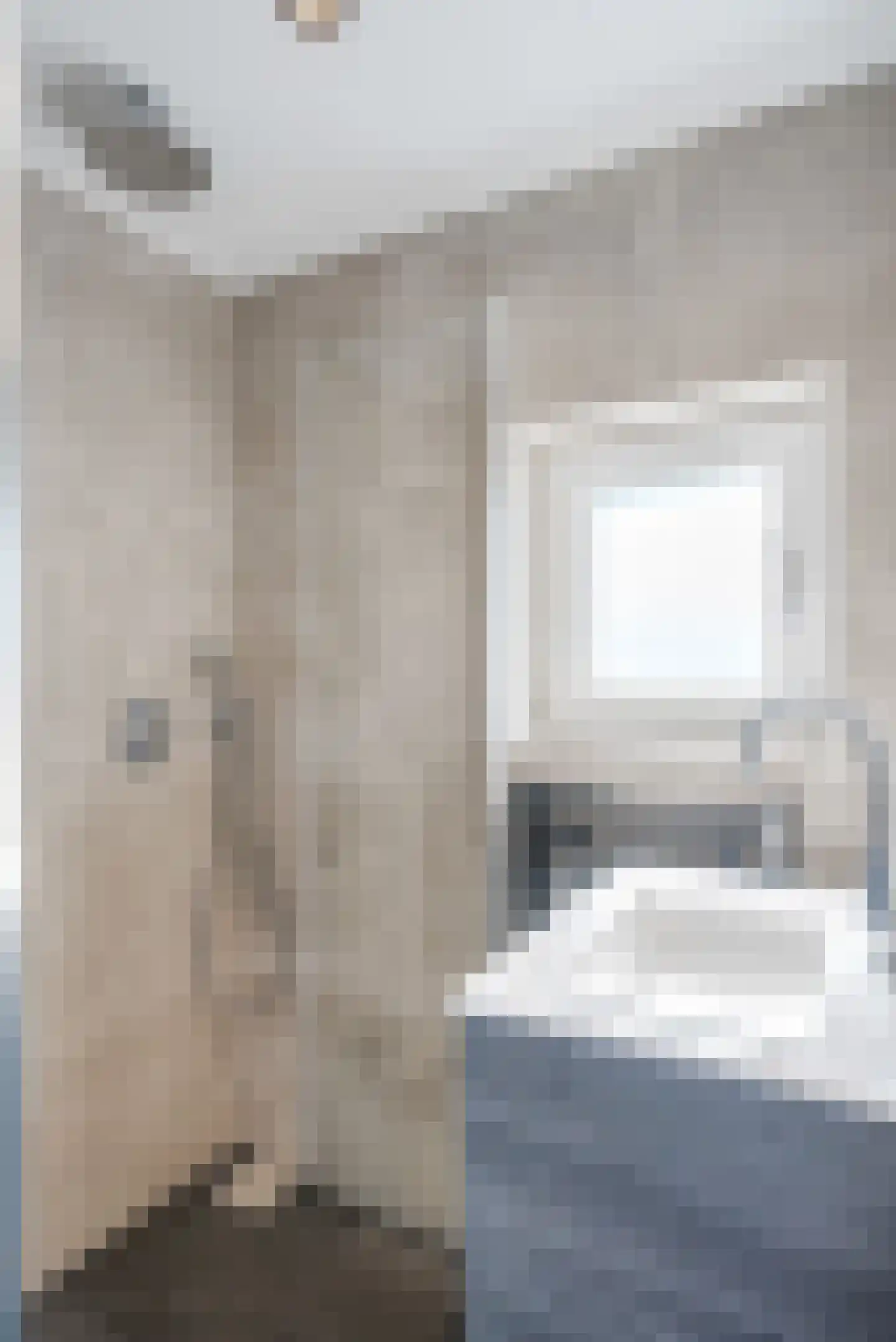 Dokter Baxstraat 47 Genemuiden thumbnail 33