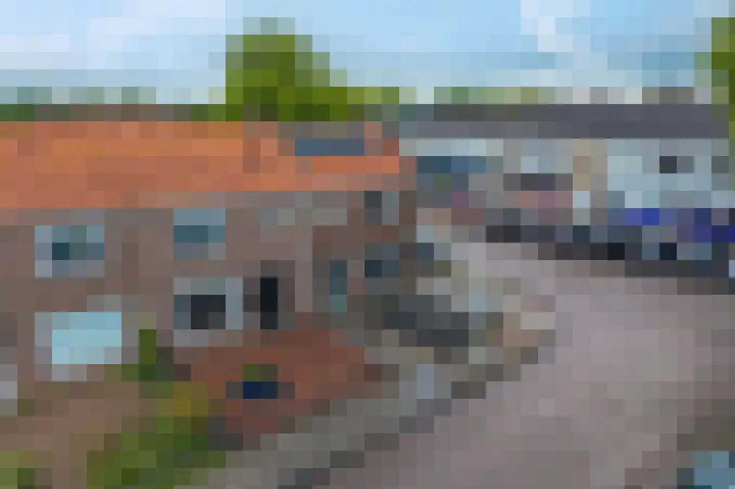 Dokter Baxstraat 47 Genemuiden thumbnail 38