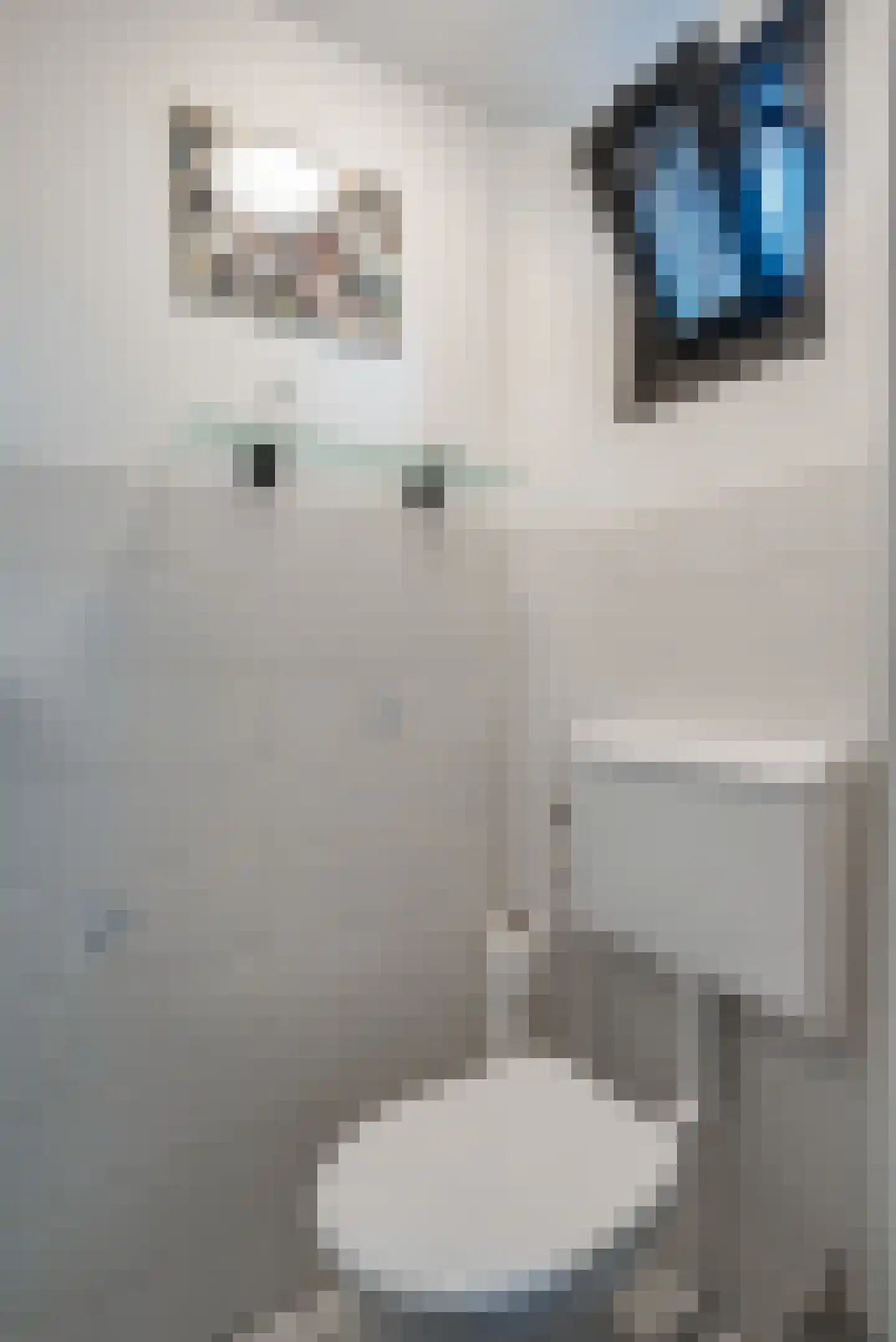 Dokter Baxstraat 47 Genemuiden thumbnail 6