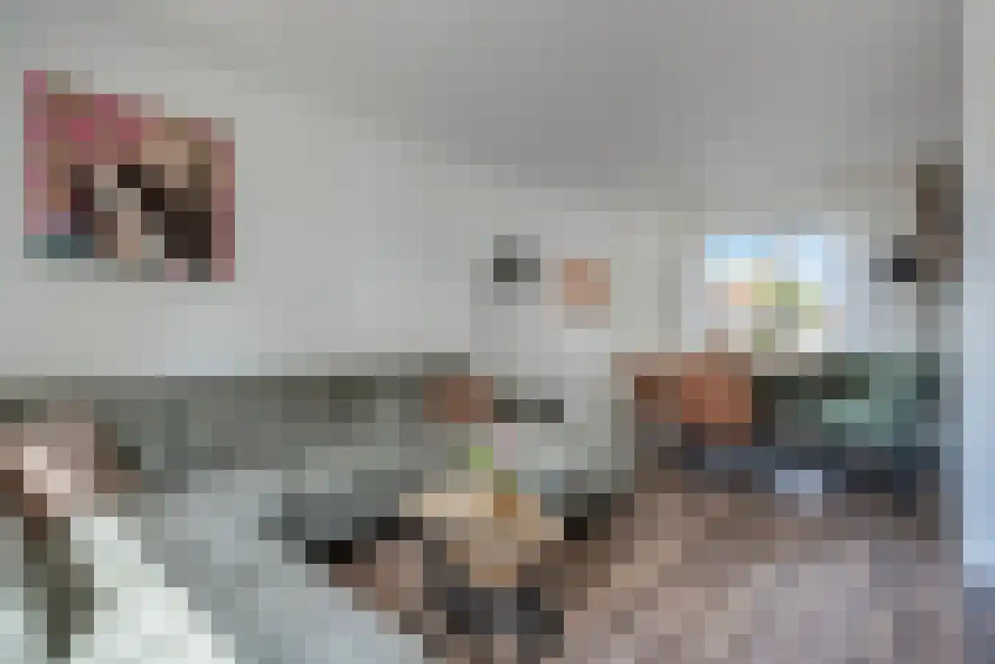 Dokter Baxstraat 47 Genemuiden thumbnail 8