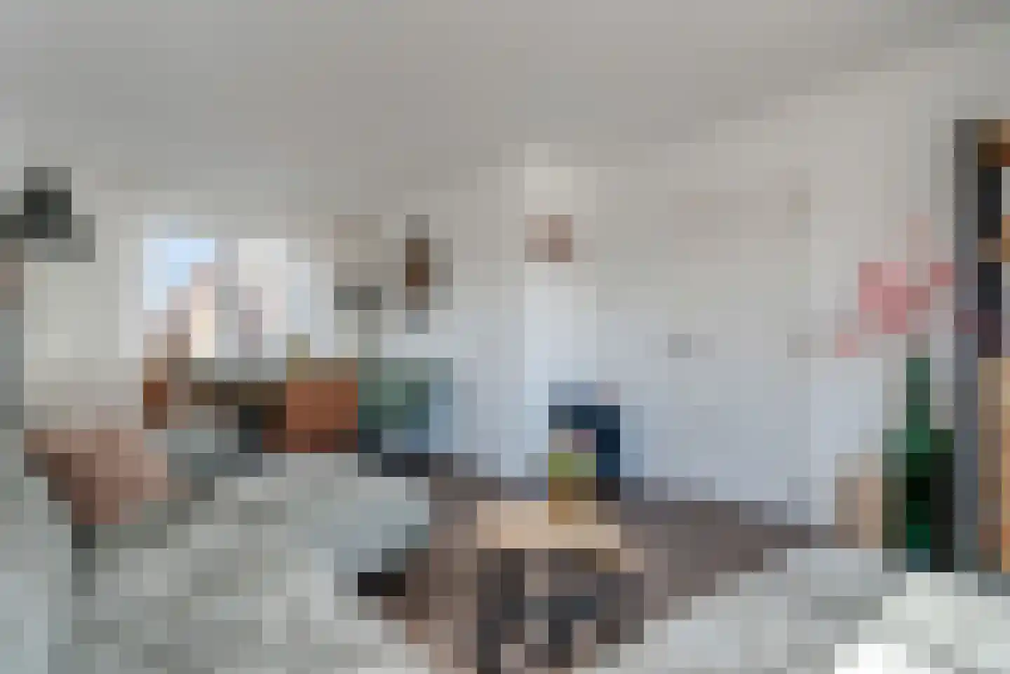 Dokter Baxstraat 47 Genemuiden thumbnail 9