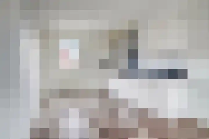 Dokter Bernhardistraat 16 Stavenisse thumbnail 13