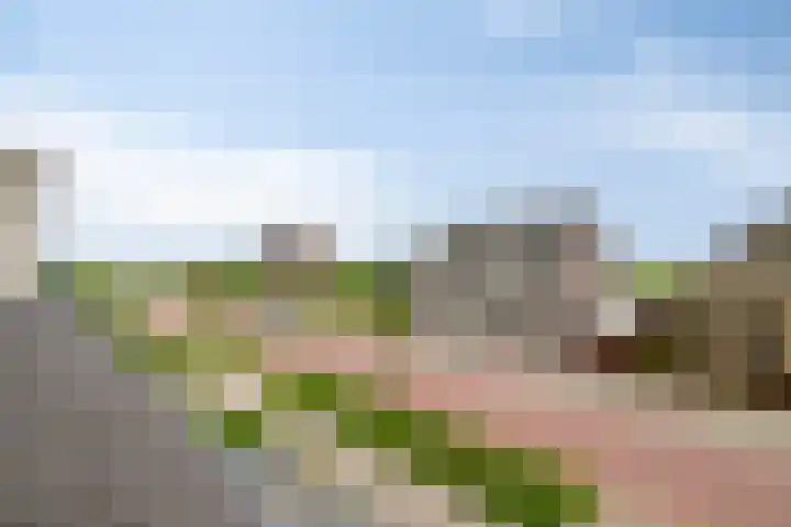 Dokter Bernhardistraat 16 Stavenisse thumbnail 29