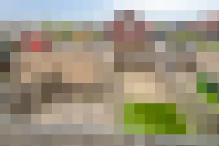 Dokter Bernhardistraat 16 Stavenisse thumbnail 32