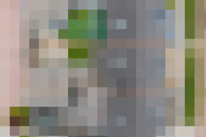 Dokter Bernhardistraat 16 Stavenisse thumbnail 38