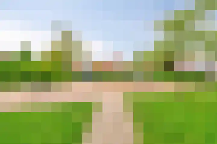 Dokter Bernhardistraat 16 Stavenisse thumbnail 52