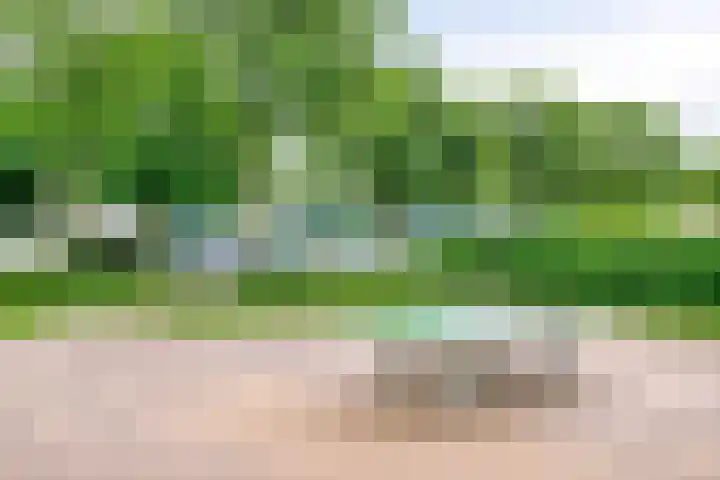 Dokter Bernhardistraat 16 Stavenisse thumbnail 53