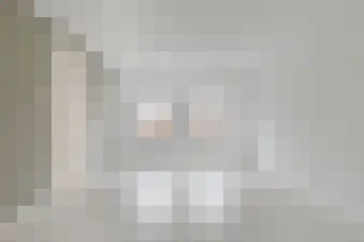 Dokter Bernhardistraat 18 Stavenisse thumbnail 10