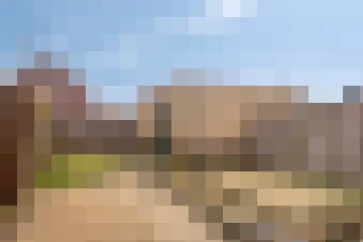 Dokter Bernhardistraat 18 Stavenisse thumbnail 5
