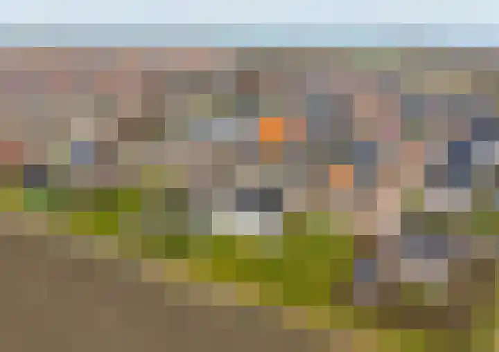 Dokter Bernhardistraat 18 Stavenisse thumbnail 6