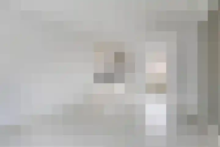 Dokter Bernhardistraat 18 Stavenisse thumbnail 9