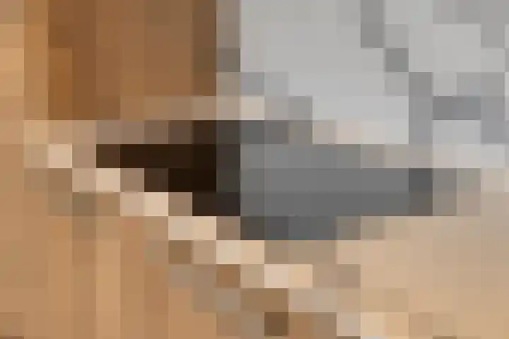 Dokter Beumerlaan 18 Otterlo thumbnail 19