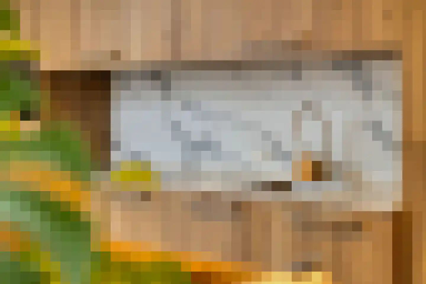Dokter Beumerlaan 18 Otterlo thumbnail 19