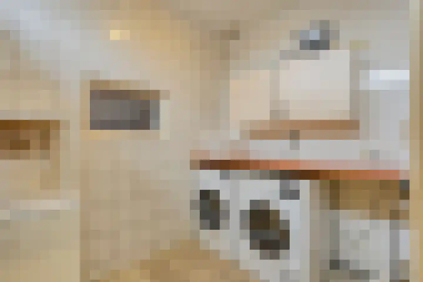 Dokter Beumerlaan 18 Otterlo thumbnail 22