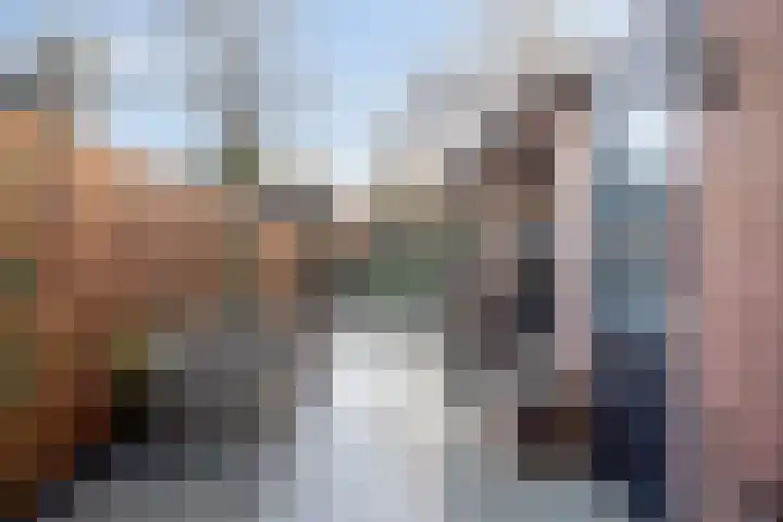 Dokter Beumerlaan 18 Otterlo thumbnail 38
