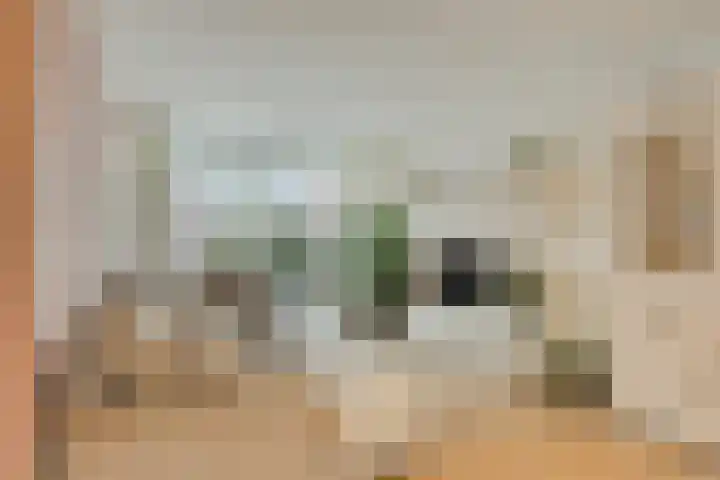Dokter Beumerlaan 18 Otterlo thumbnail 4